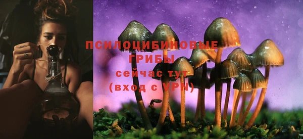 кокс Абинск